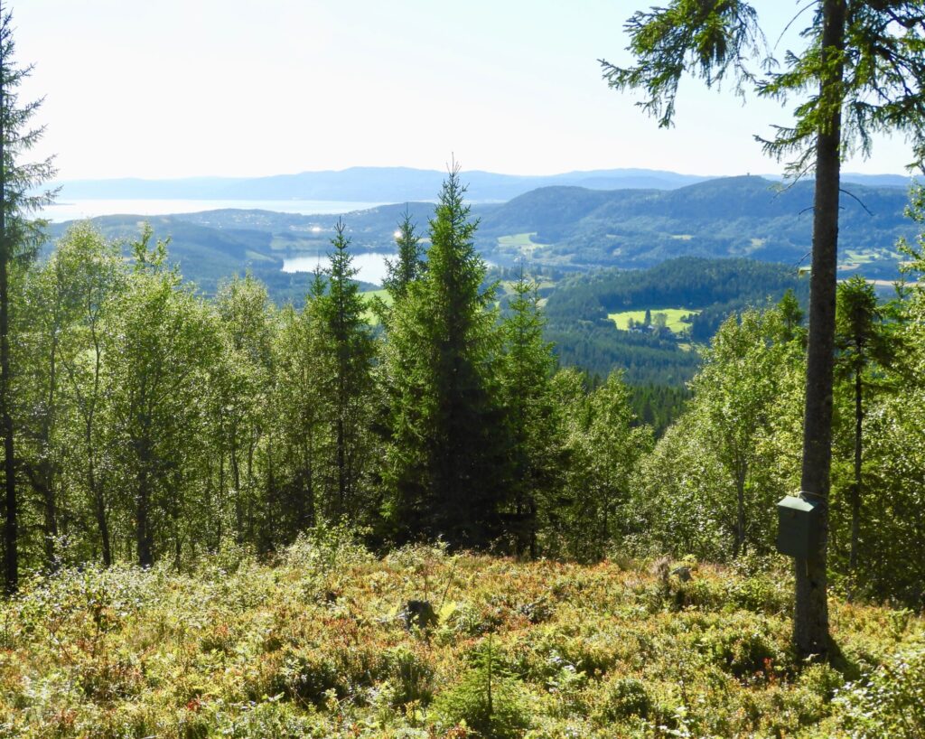 Kjøråsvåttån Kjøråsvåttån