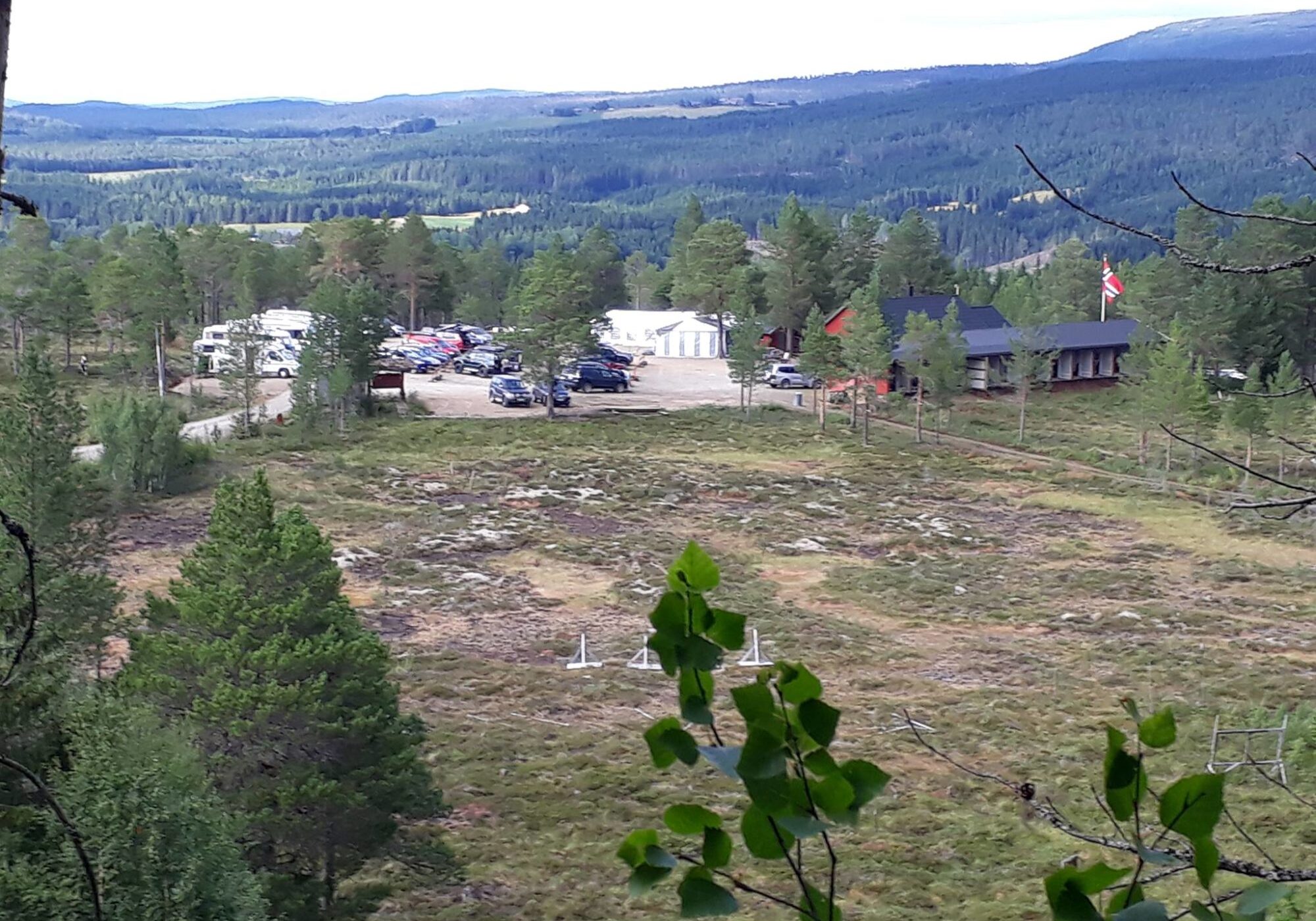 Hårråmyra