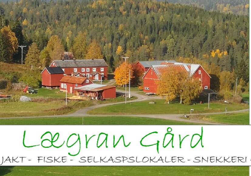 Logo Lægran 2021 2